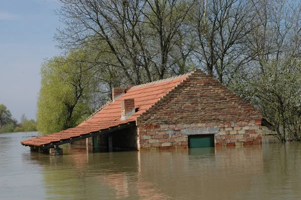 Inondation, rivière, catastrophe, ouragan, toit , — Photo