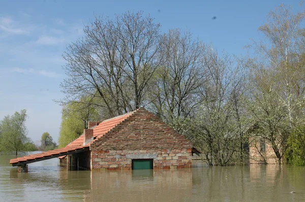 Översvämning, floden, katastrof, orkanen, tak, — Stockfoto