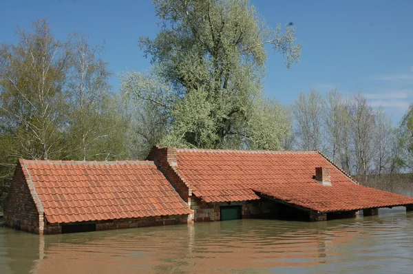 洪水、 河流、 灾难、 飓风、 屋顶, — 图库照片