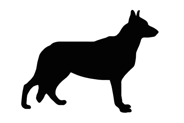Ilustração do cão — Fotografia de Stock