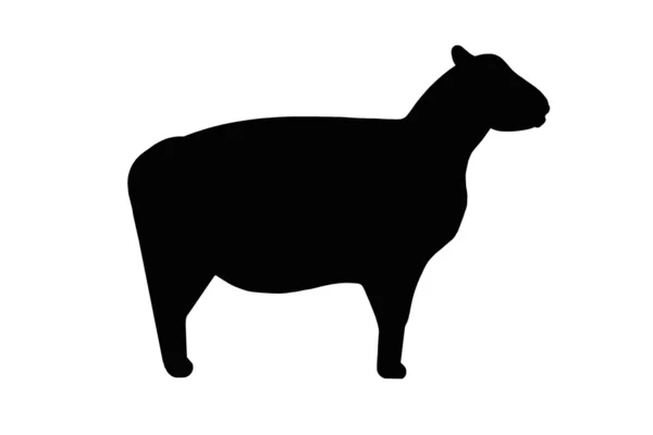 Sillhouette de oveja —  Fotos de Stock