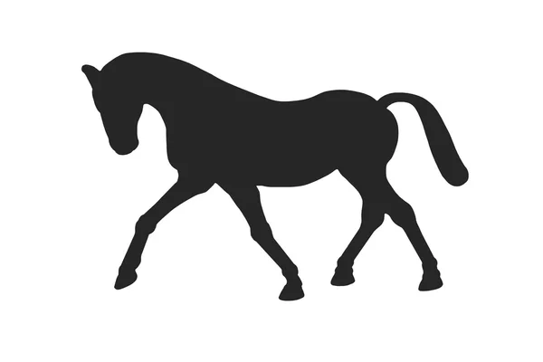 Знак лошади или пони — стоковое фото