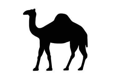 deve veya dromedary işareti