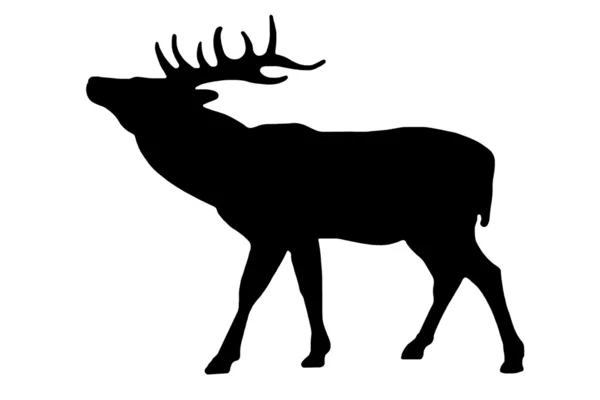 Deer sign — Stock Photo, Image