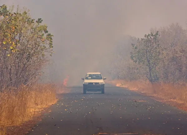 Gambiya Bush yangın — Stok fotoğraf