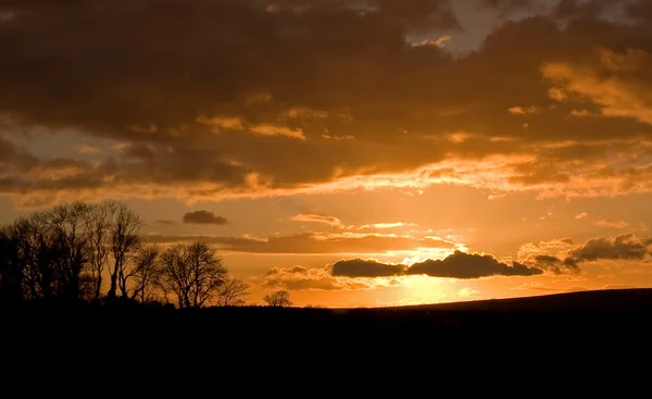 Cuckmere valley zonsondergang — Stockfoto