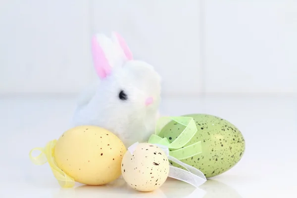 Conejito de Pascua y huevos — Foto de Stock