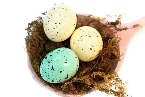 Huevos de Pascua salpicados — Foto de Stock
