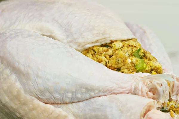 Uncooked Turkey — Stock Photo, Image