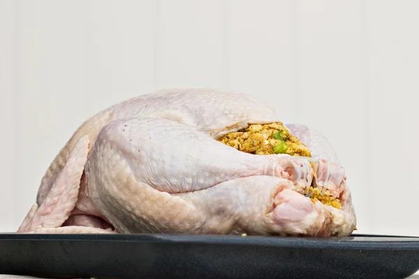 Uncooked Turkey — Stock Photo, Image