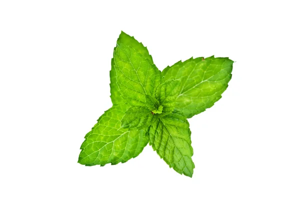 Peppermint Leaves — Stock Photo, Image
