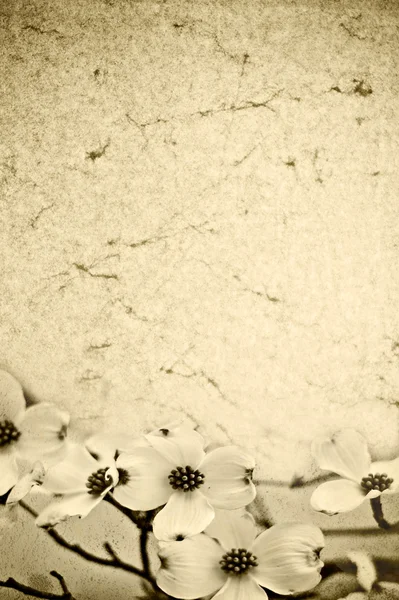 Textura de papel floral — Foto de Stock