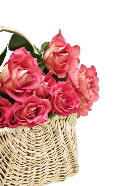 Basket of Roses — Stock Photo, Image