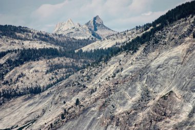 Yosemite Ulusal Parkı