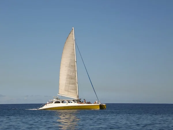 Catamaran boot op zee — Stockfoto