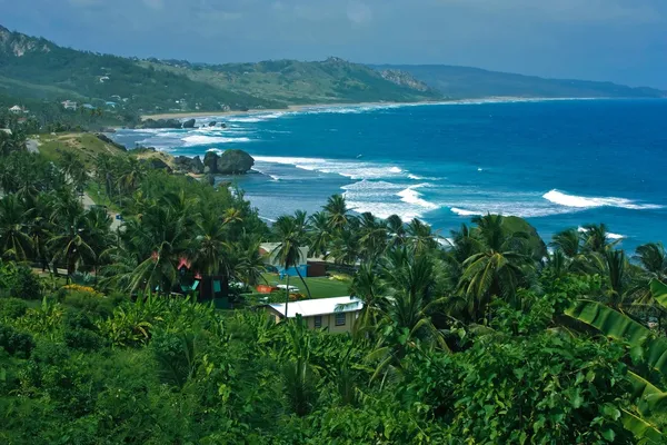 Vue panoramique de l'île de Barbade Images De Stock Libres De Droits