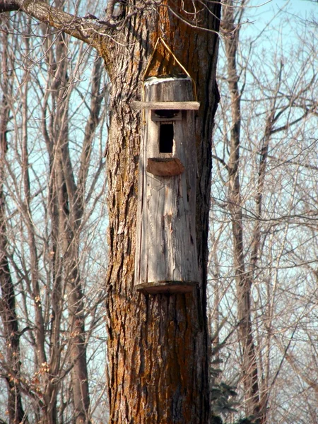 Background closeup of a bird house — Stock Photo, Image