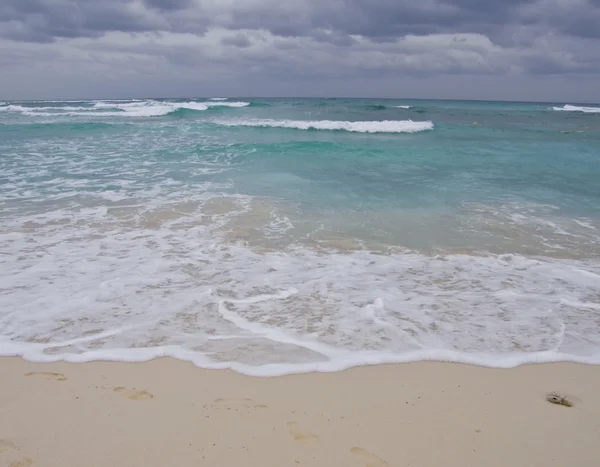 Beach and Ocean background