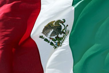 Mexican Flag clipart