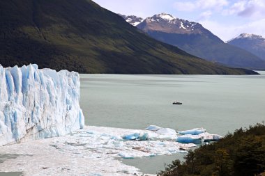 Arjantin 'de perito moreno buzulu.