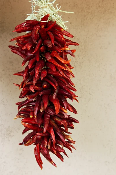 stock image Hanging Strand of Red Chili Peppers