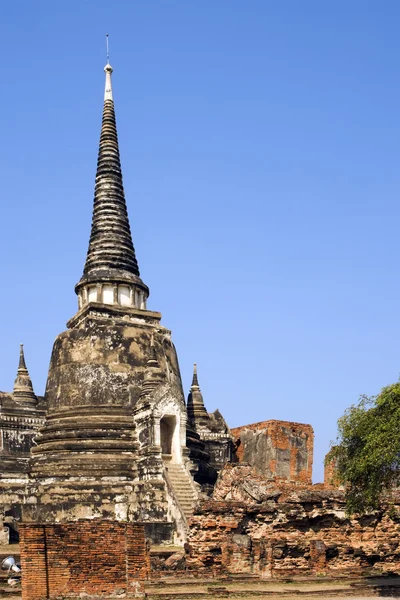 Ruiny buddyjskiej świątyni w ayutthaya, Tajlandia. — Zdjęcie stockowe