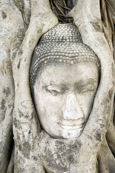 Testa di Buddha tailandese — Foto Stock