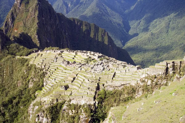 Machu Picchu — Stock fotografie