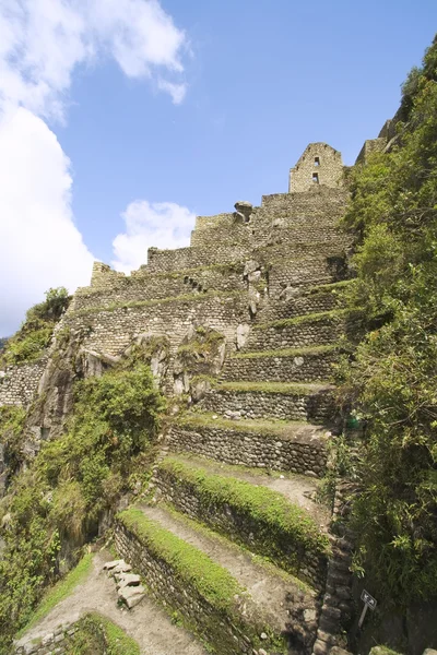 Huayna Picchu — Fotografia de Stock