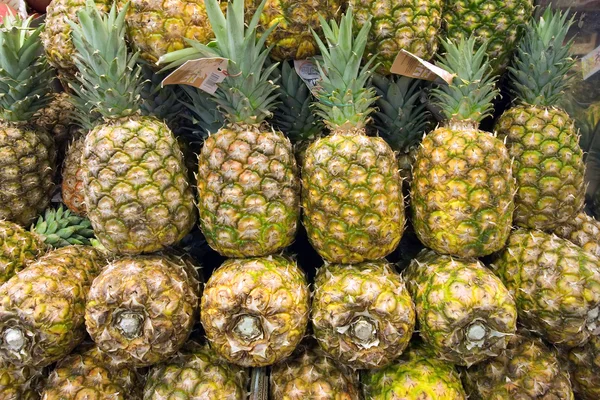 stock image Pineapple