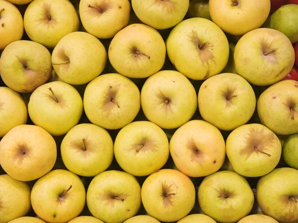 stock image Golden Delicious Apples