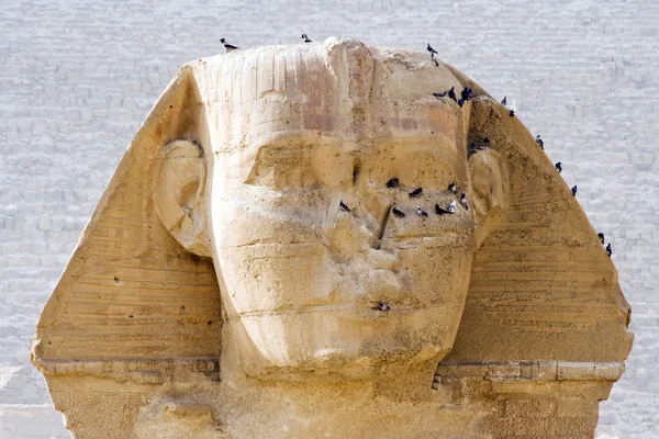 Great Sphinx — Stock Photo, Image