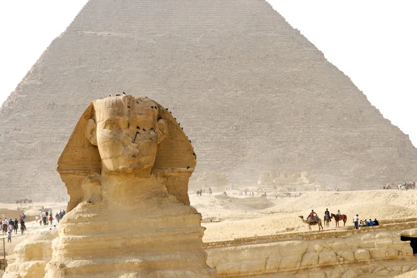 Große Sphinx — Stockfoto