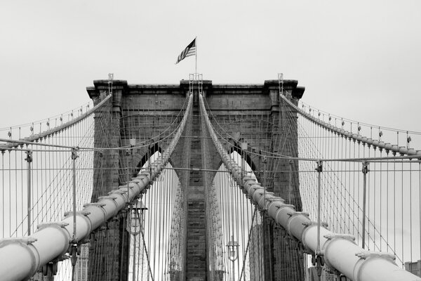 Black and white image of Brooklyn Bridge suspension cables. (New York City)