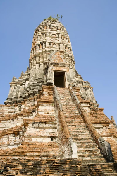 Wat Chai wattanaram — Stockfoto