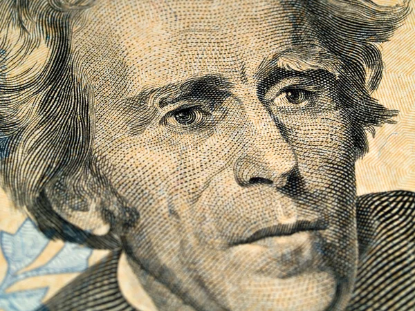 Makro detail USA 20 dolarů Bill — Stock fotografie