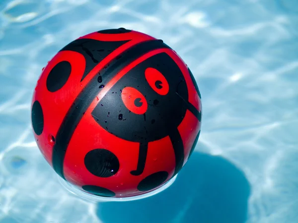 Leppäkerttu pallo sinisessä uima-altaassa — kuvapankkivalokuva