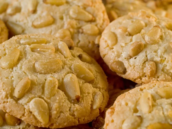 stock image Pine Nut Macaroons Close Up Full Frame