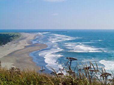 View of the Washington State Coast clipart