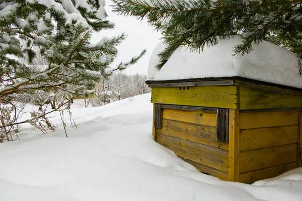 stock image Hibernating hive.