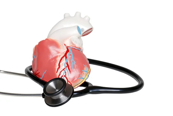 Stetoscopio con cuore — Foto Stock