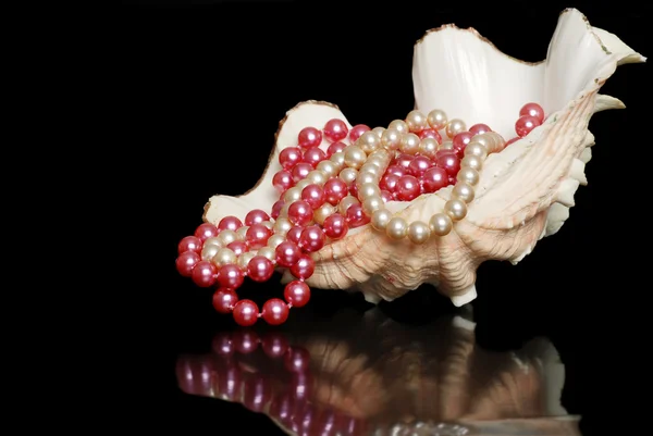 Hilos de perlas en una concha —  Fotos de Stock