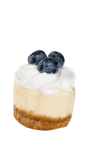Taze blueberri ile izole cheesecake — Stok fotoğraf