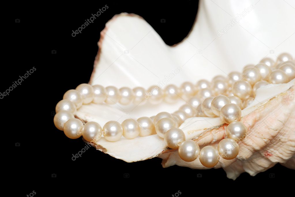 Strand of cream colored pearls in shell