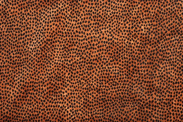 stock image Animal print fabric