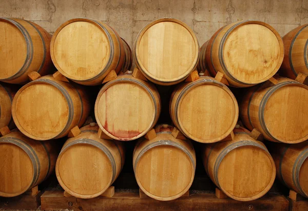 Barris de vinho em armazém — Fotografia de Stock