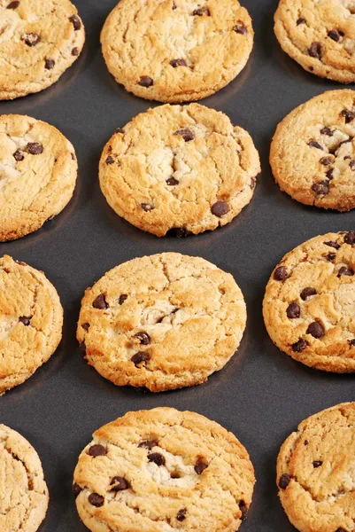 Chocolate chip cookies on baking sheet — Stock Photo, Image