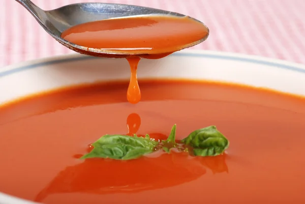 Tomatsoppa droppande av en sked — Stockfoto