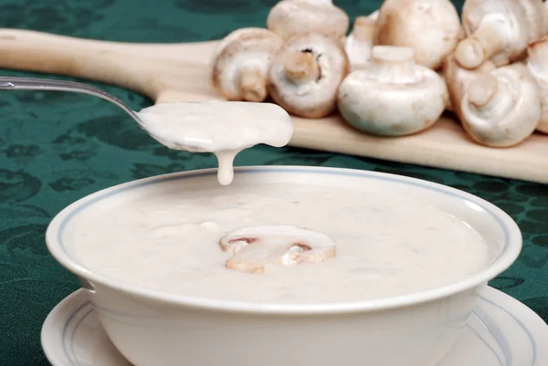 Spoon dripping cream of mushroom soup — Stock Image Spoon dripping cream of mushroom soup Royalty Free Stock Photos