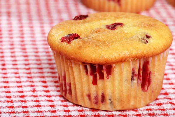 Närbild citron tranbär muffin — Stockfoto